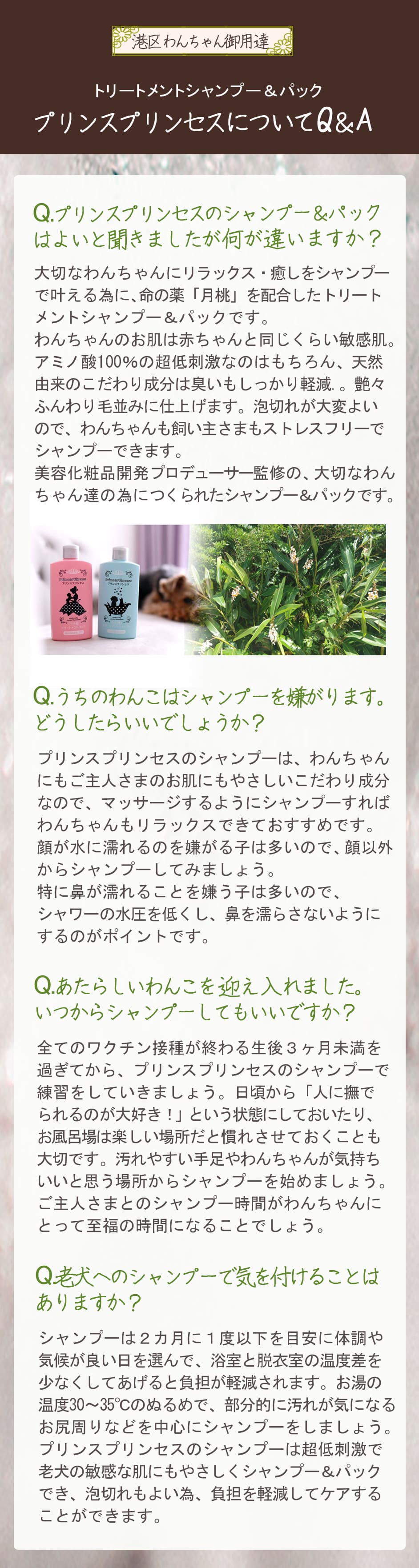 ワンちゃんのペットシャンプー