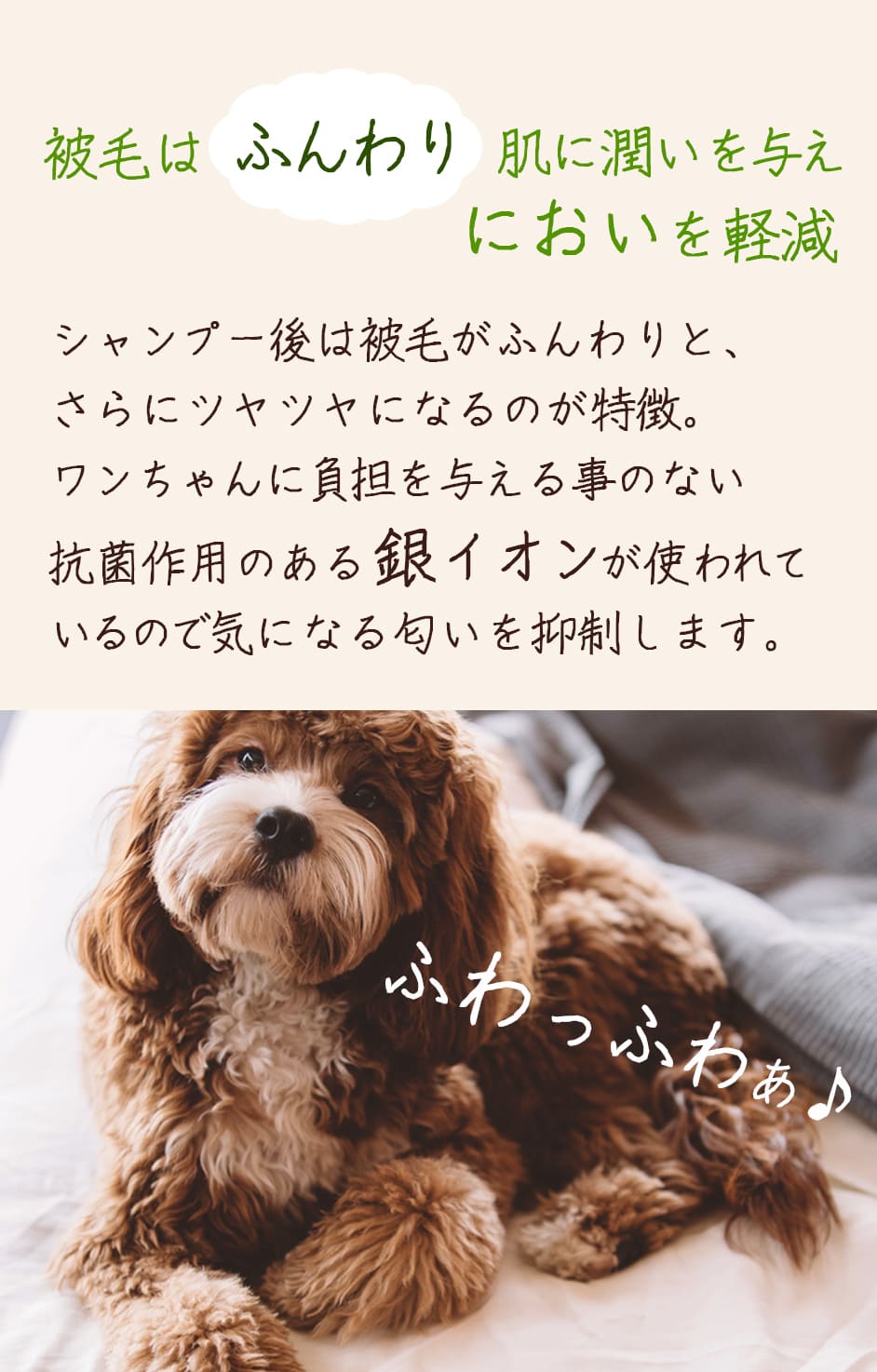 ワンちゃんのペットシャンプー