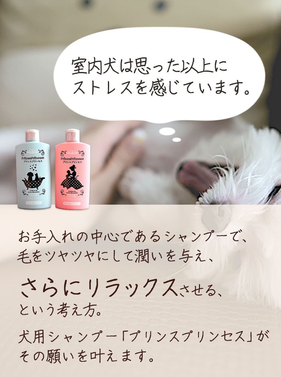 ワンちゃんのペットシャンプー